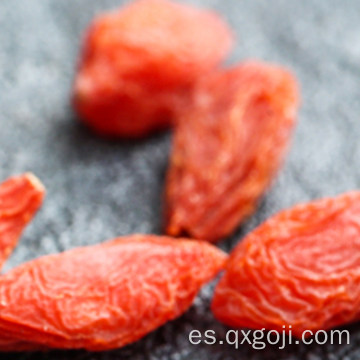 Las bayas de Goji orgánicas de la fuente de la fábrica